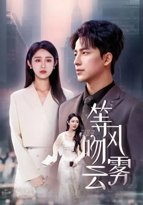 隐秘的角落 电视剧海报